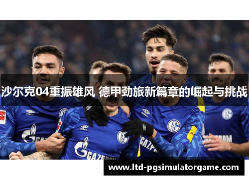 沙尔克04重振雄风 德甲劲旅新篇章的崛起与挑战