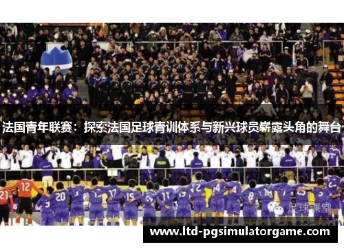 法国青年联赛：探索法国足球青训体系与新兴球员崭露头角的舞台